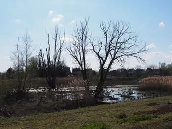 Kalkense Meersen (België)